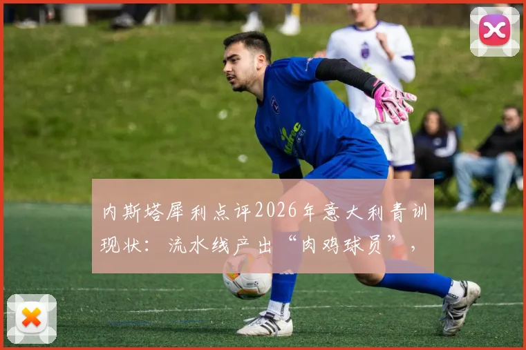 内斯塔犀利点评2026年意大利青训现状:流水线产出“肉鸡球员”,创造力缺失危机如何破解?